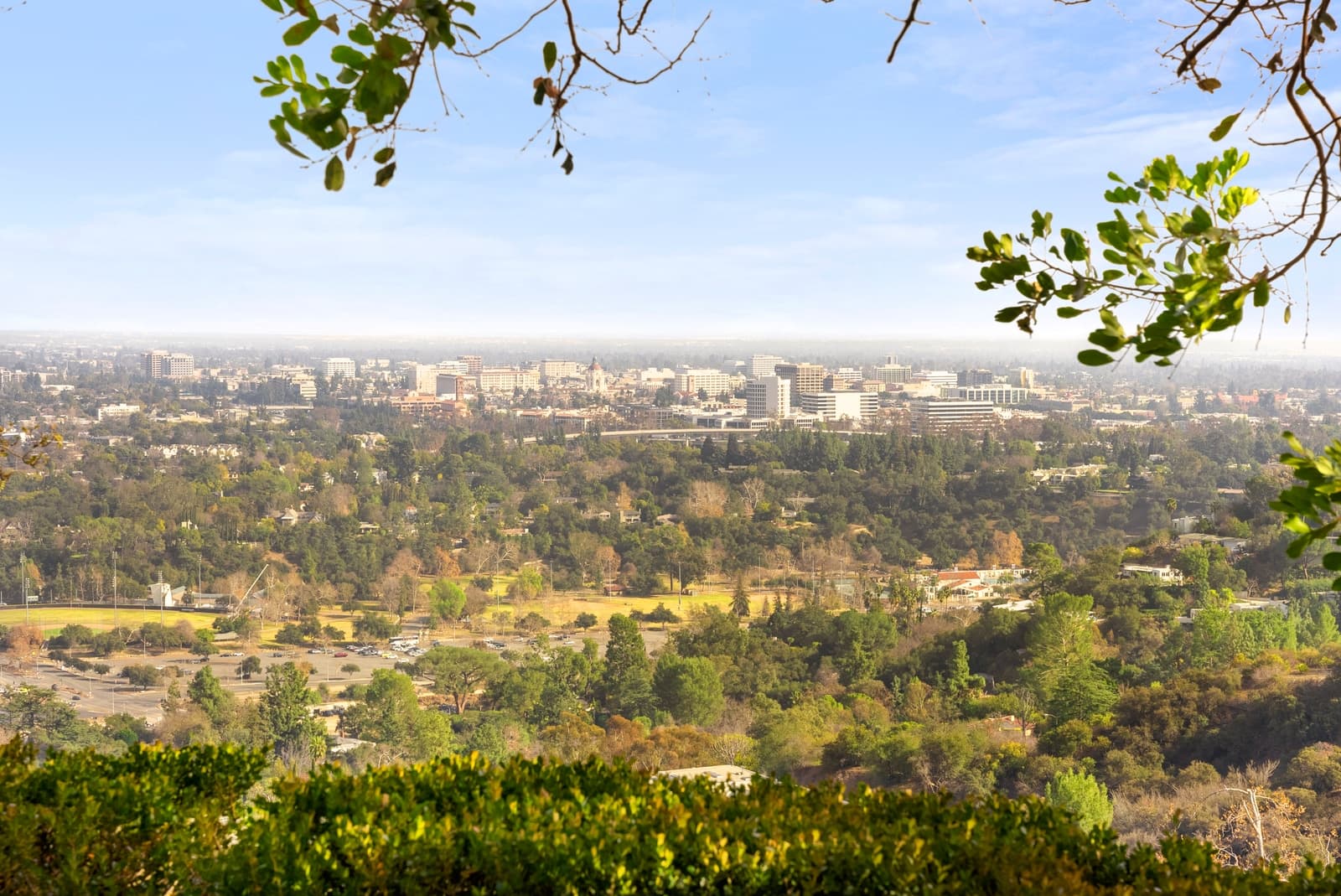 View over the treetops toward the San Gabriel Mountains, Pasadena