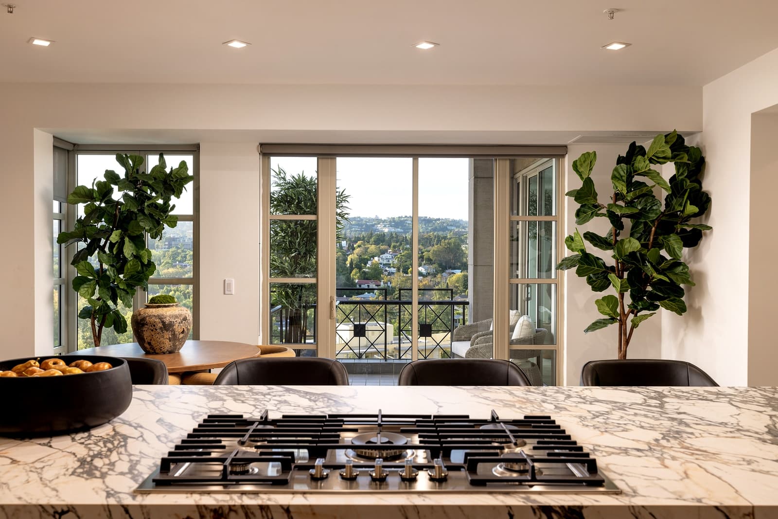 Marble counter and range, fig trees flanking the window